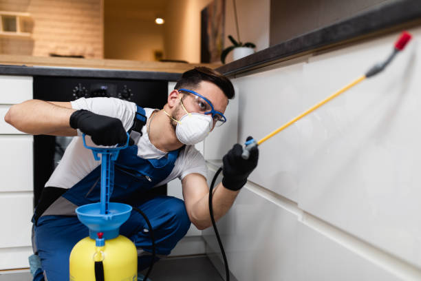 Reliable Whitley City, KY Pest Control Solutions